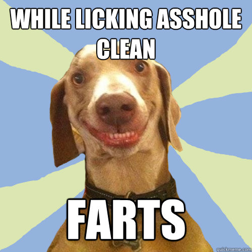 while licking asshole clean farts  Disgusting Doggy