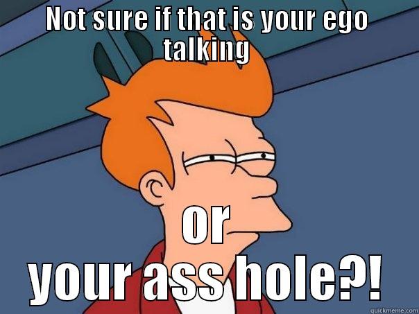 NOT SURE IF THAT IS YOUR EGO TALKING OR YOUR ASS HOLE?! Futurama Fry