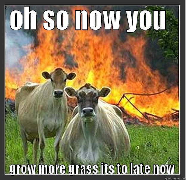 OH SO NOW YOU  GROW MORE GRASS ITS TO LATE NOW Evil cows