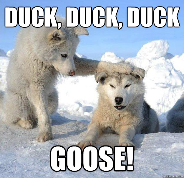 DUCK, DUCK, DUCK
 GOOSE!  Caring Husky