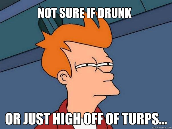 Not sure if drunk or just high off of turps...  Futurama Fry