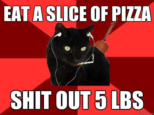 eat a slice of pizza shit out 5 lbs  Berklee Cat