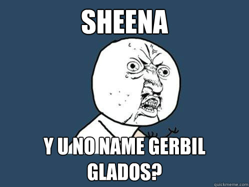 Sheena y u no name gerbil Glados?  Y U No