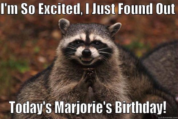 I'M SO EXCITED, I JUST FOUND OUT  TODAY'S MARJORIE'S BIRTHDAY! Evil Plotting Raccoon