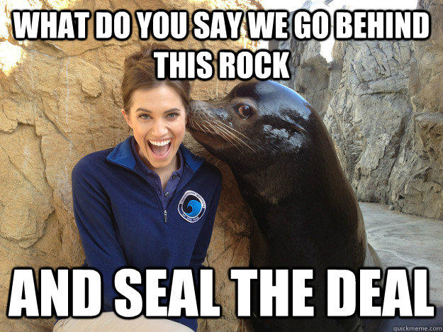 What do you say we go behind this rock and seal the deal  