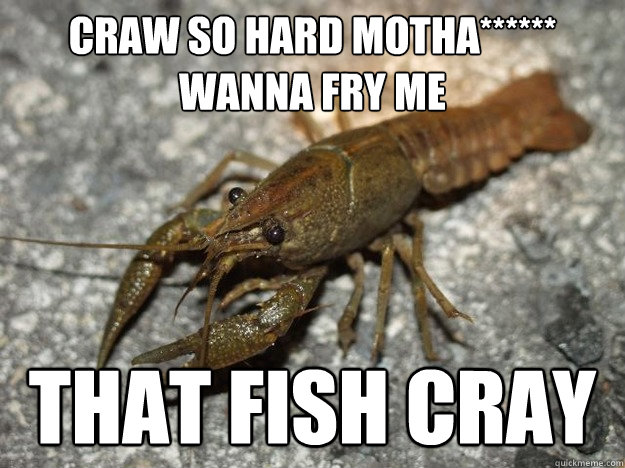 Craw so hard motha****** wanna fry me that fish cray  that fish cray