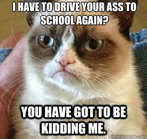 I have to drive your ass to school AGAIN?  You have GOT to be kidding me.    