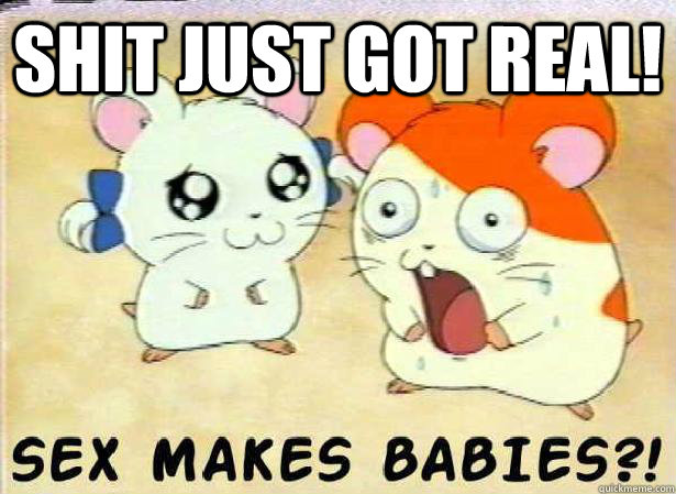 shit just got real!  - shit just got real!   Funny Hamtaro