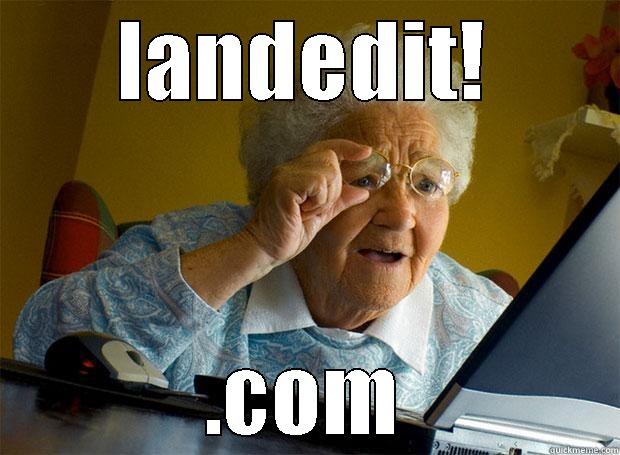 LANDEDIT! .COM Grandma finds the Internet