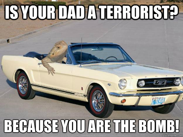 Is your dad a terrorist? Because you are the BOMB!
  Pickup Dragon