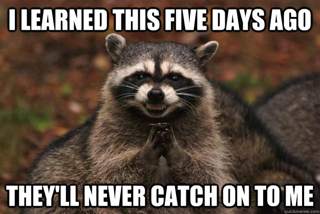 i learned this five days ago they'll never catch on to me - i learned this five days ago they'll never catch on to me  Evil Plotting Raccoon