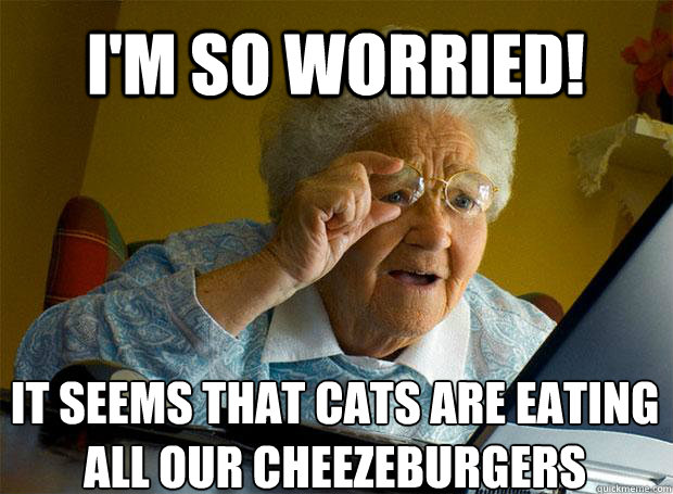 I'M SO WORRIED! IT SEEMS THAT CATS ARE EATING ALL OUR CHEEZEBURGERS    Grandma finds the Internet