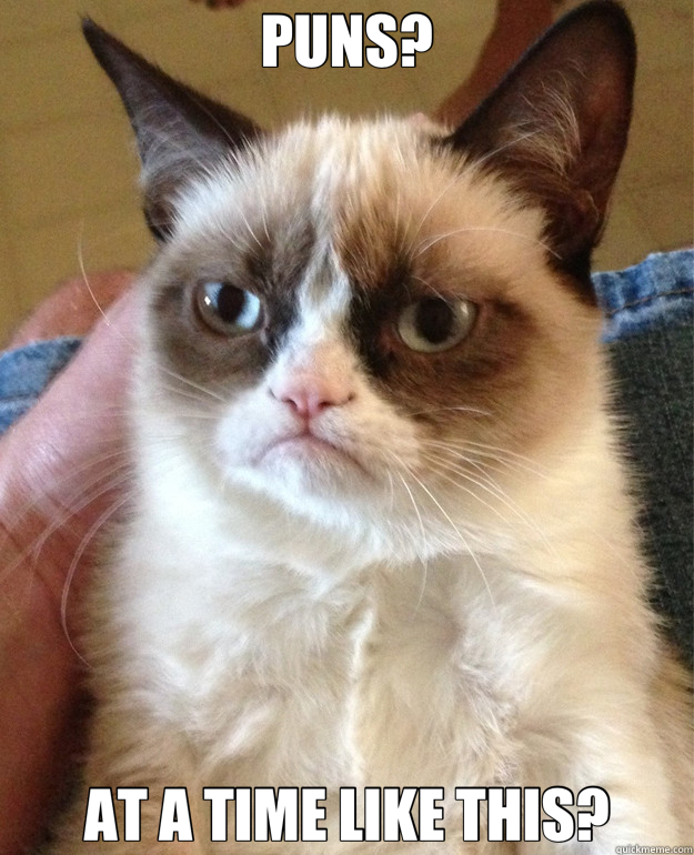 PUNS? AT A TIME LIKE THIS? - PUNS? AT A TIME LIKE THIS?  Grumpy Cat