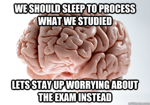 we should sleep to process what we studied Lets stay up worrying about the exam instead - we should sleep to process what we studied Lets stay up worrying about the exam instead  Scumbag Brain