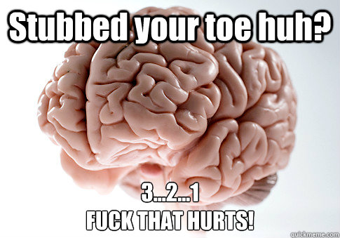 Stubbed your toe huh? 3...2...1
FUCK THAT HURTS! - Stubbed your toe huh? 3...2...1
FUCK THAT HURTS!  Scumbag Brain