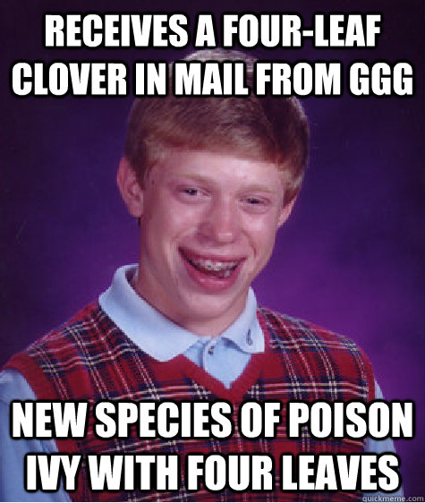 receives a four-leaf clover in mail from ggg new species of poison ivy with four leaves  Bad Luck Brian