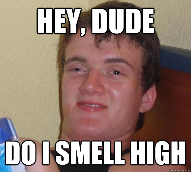 Hey, dude do i smell high - Hey, dude do i smell high  10 Guy