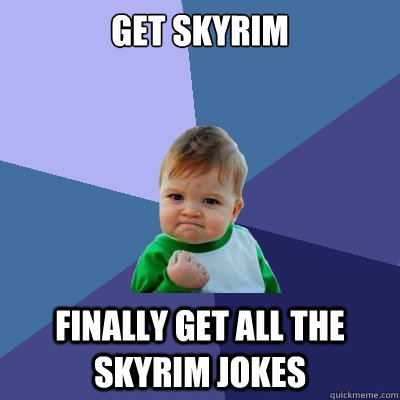 Get Skyrim finally get all the skyrim jokes  Success Kid