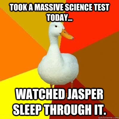 Took a massive science test today... Watched Jasper sleep through it.   Tech Impaired Duck