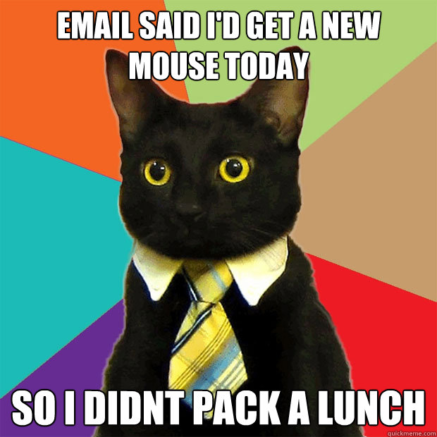 Email said I'd get a new mouse today So I didnt pack a lunch - Email said I'd get a new mouse today So I didnt pack a lunch  Business Cat