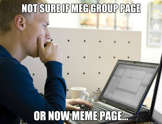 NOT SURE IF MEG GROUP PAGE OR NOW MEME PAGE...  Programmer