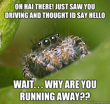 oh hai there! just saw you driving and thought id say hello wait. . . why are you running away??  Misunderstood Spider