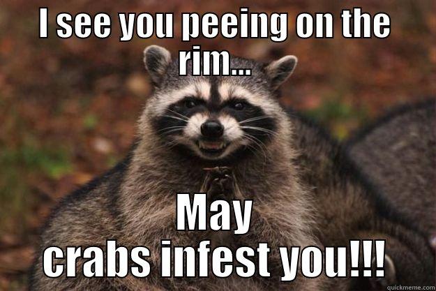 Rim pisser - I SEE YOU PEEING ON THE RIM... MAY CRABS INFEST YOU!!! Evil Plotting Raccoon