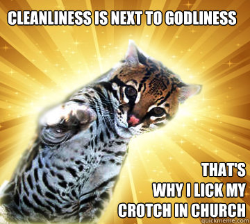 cleanliness is next to godliness that's
why i lick my crotch in church  