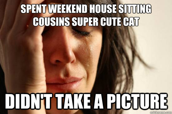 Spent weekend house sitting cousins super cute cat didn't take a picture  First World Problems