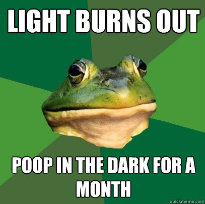 Light Burns Out Poop in the dark for a month  Foul Bachelor Frog