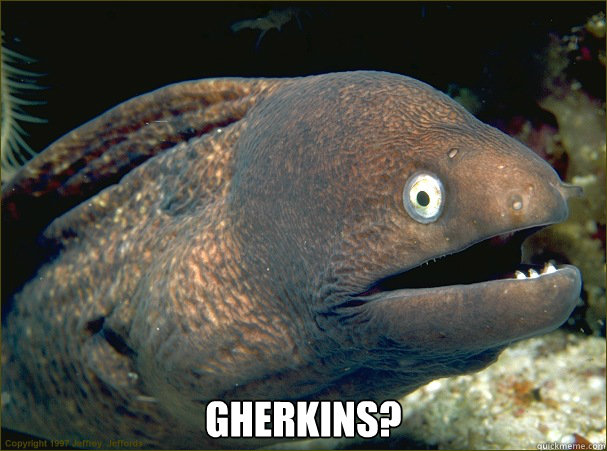   Gherkins?  Bad Joke Eel