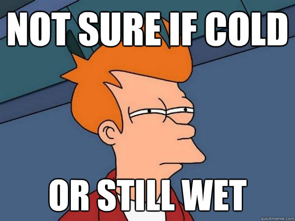 Not sure if cold or still wet - Not sure if cold or still wet  Futurama Fry