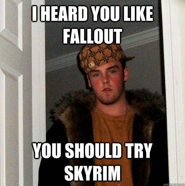 I heard you Like fallout You should try skyrim  Scumbag Steve