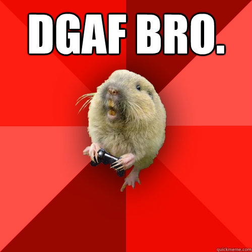 DGAF BRO.   Gaming Gopher