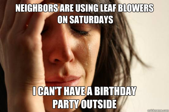 Neighbors are using leaf blowers
 on Saturdays  I can't have a birthday 
party outside  First World Problems