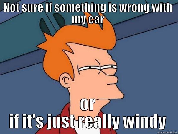 Driving in Kansas - NOT SURE IF SOMETHING IS WRONG WITH MY CAR OR IF IT'S JUST REALLY WINDY Futurama Fry