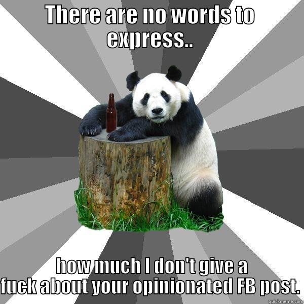 THERE ARE NO WORDS TO EXPRESS..  HOW MUCH I DON'T GIVE A FUCK ABOUT YOUR OPINIONATED FB POST. Pickup-Line Panda