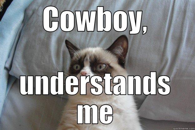 COWBOY, UNDERSTANDS ME Grumpy Cat