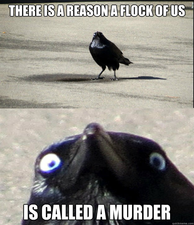 There is a reason a flock of us Is called a Murder  Insanity Crow