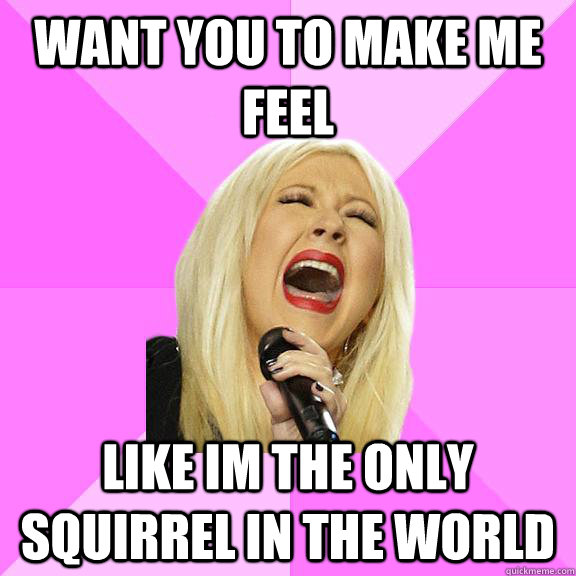 want you to make me feel like im the only squirrel in the world  Wrong Lyrics Christina