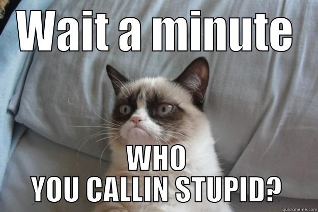 WAIT A MINUTE WHO YOU CALLIN STUPID? Grumpy Cat