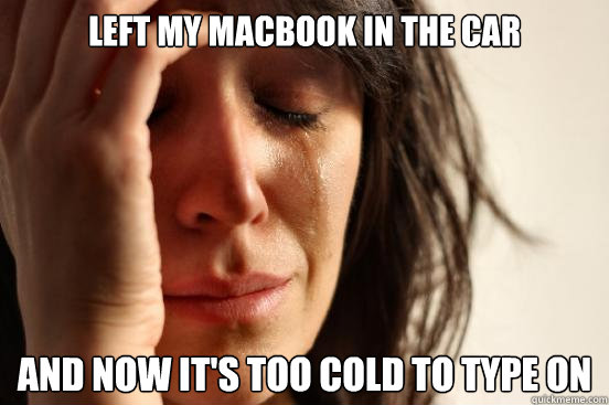 Left my macbook in the car and now it's too cold to type on  First World Problems