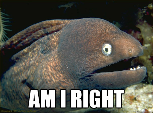  Am I right  Bad Joke Eel