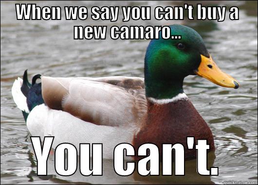 WHEN WE SAY YOU CAN'T BUY A NEW CAMARO... YOU CAN'T. Actual Advice Mallard