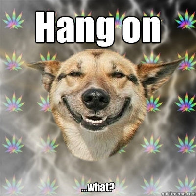 Hang on ...what?  Stoner Dog