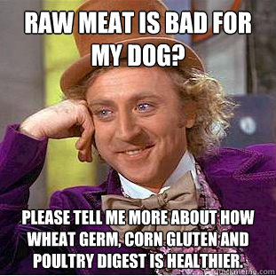 Raw meat is bad for my dog? Please tell me more about how wheat germ, corn gluten and poultry digest is healthier.  Condescending Wonka