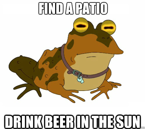 find a patio drink beer in the sun  Hypnotoad