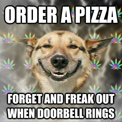 order a pizza forget and freak out when doorbell rings  Stoner Dog