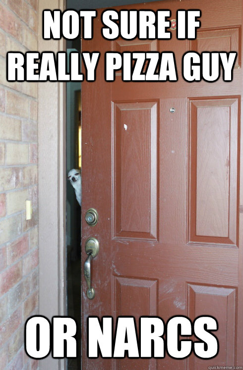 Not sure if really pizza guy or narcs  Stoner Dog