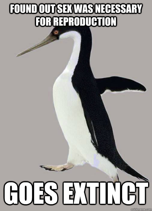 Found out sex was necessary for reproduction Goes extinct - Found out sex was necessary for reproduction Goes extinct  Prehistoric Socially Awkward Penguin
